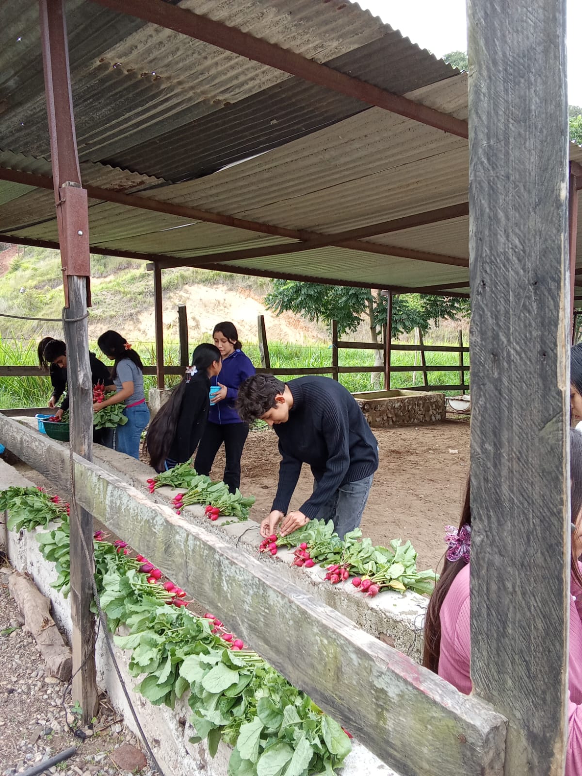 Empowerment through action